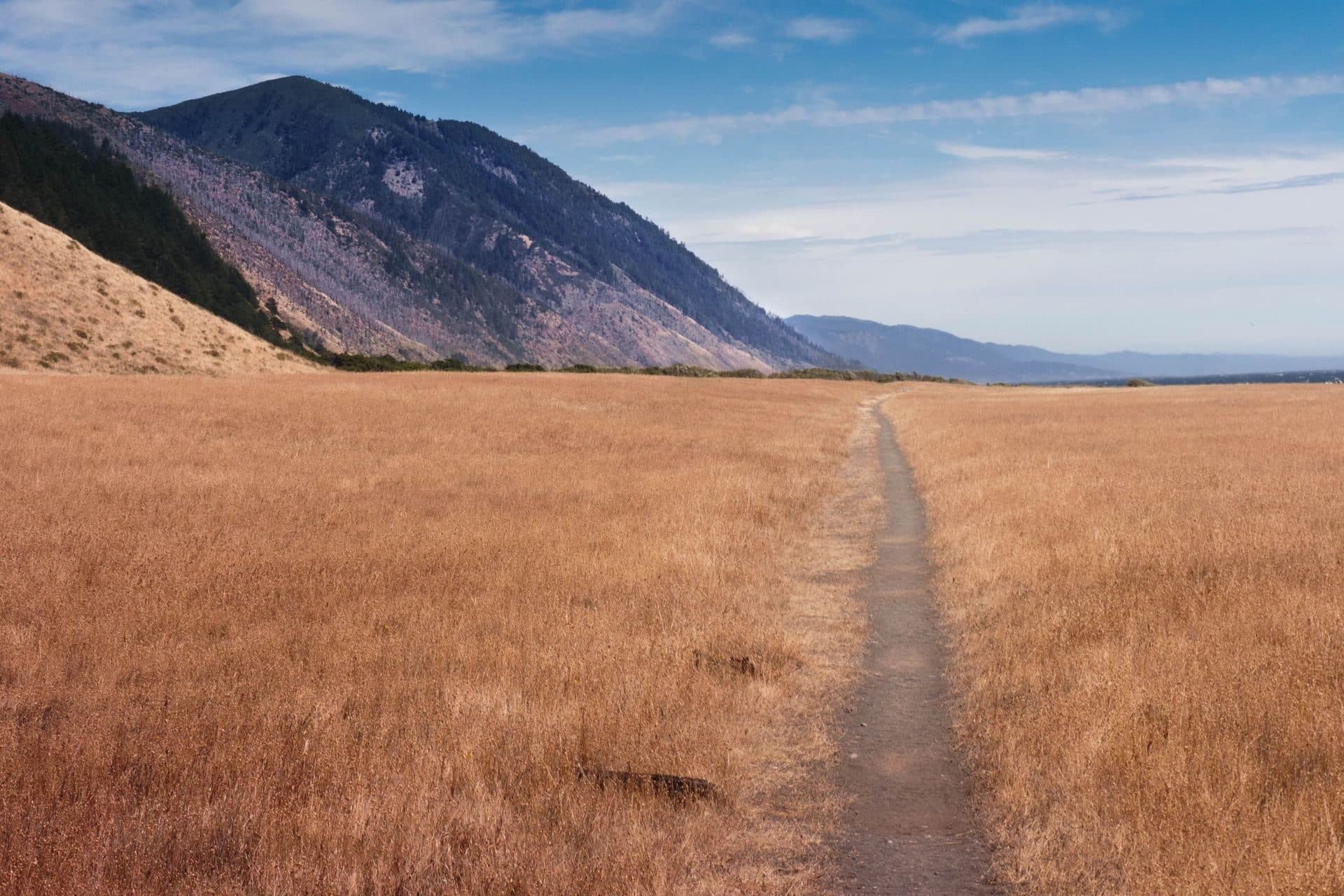 A path through a golden field toward distant hills